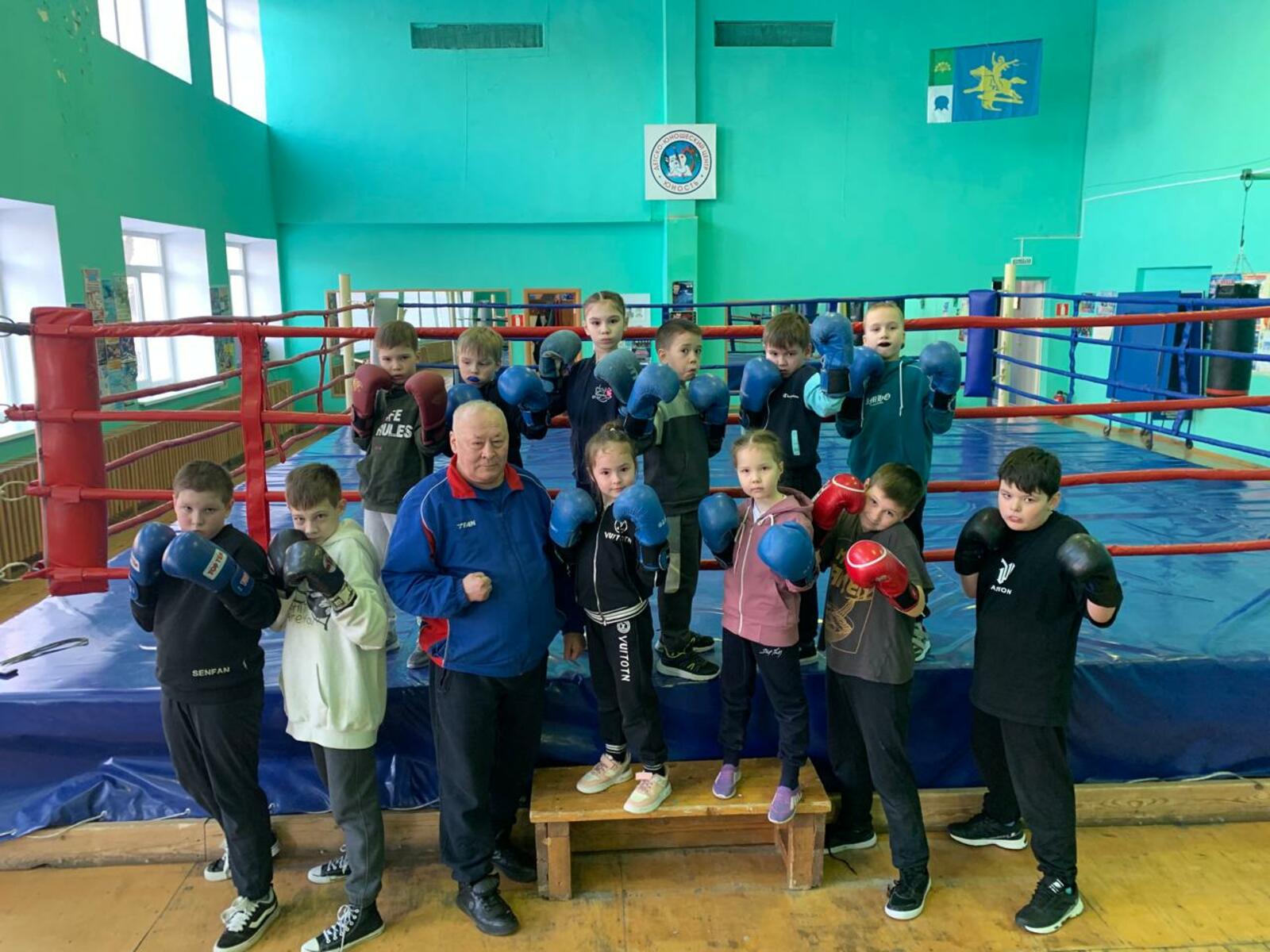 Бокс - көслөләр ярышы