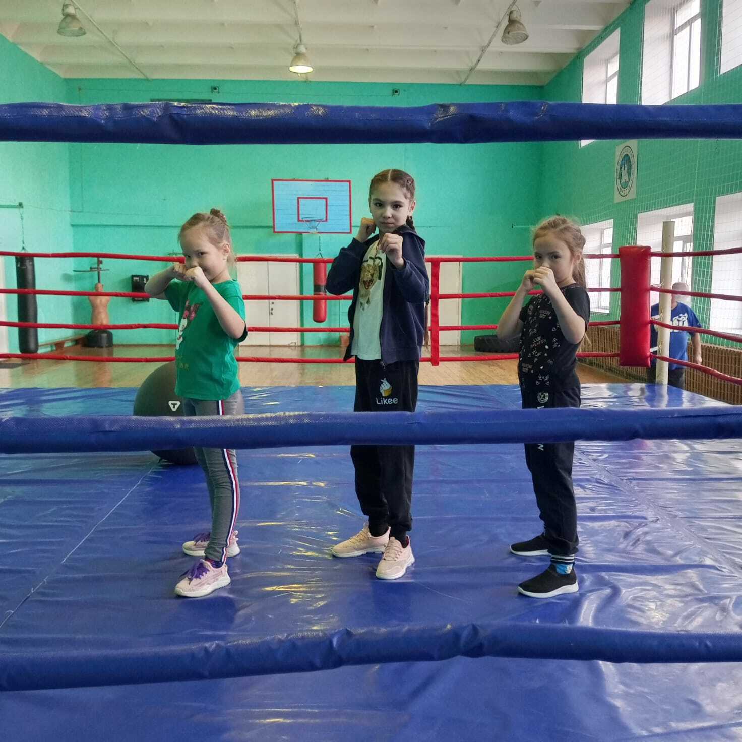 Бокс - көслөләр ярышы