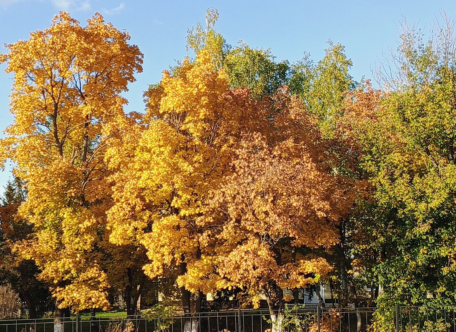 Шиғырҙары - яҡын серҙәштәре